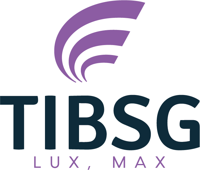 TIBSLimo     新加坡 八达专车